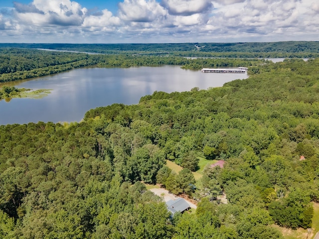 7289 Cuba Landing Rd, Waverly, TN 37185 - photo 4