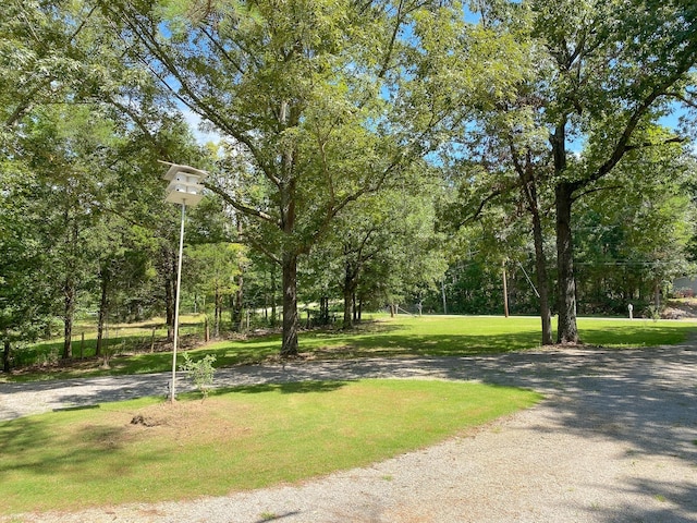 7305 Cuba Landing Rd, Waverly, TN 37185 - photo 25