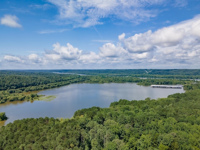 7305 Cuba Landing Rd, Waverly, TN 37185 - photo 33