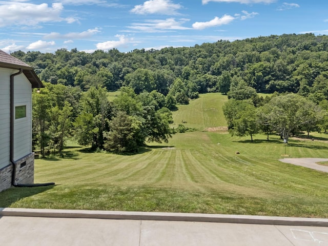 760 Johnson Hollow Rd, Watertown, TN 37184 - photo 48