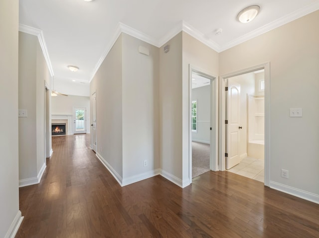 384 Abeline Dr, Clarksville, TN 37043 - photo 6