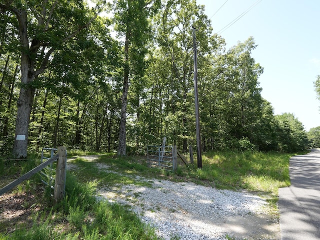5 Tummins Rd, Mc Ewen, TN 37101 - photo 1