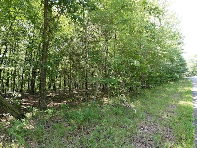5 Tummins Rd, Mc Ewen, TN 37101 - photo 34