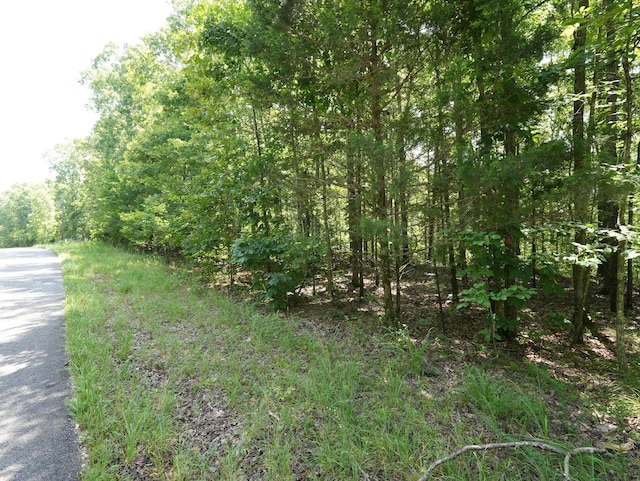 5 Tummins Rd, Mc Ewen, TN 37101 - photo 2