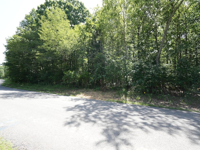 5 Tummins Rd, Mc Ewen, TN 37101 - photo 24