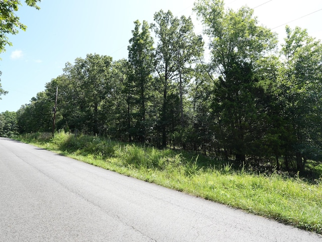 5 Tummins Rd, Mc Ewen, TN 37101 - photo 26