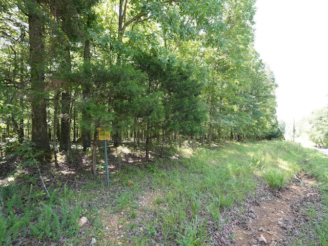 5 Tummins Rd, Mc Ewen, TN 37101 - photo 31