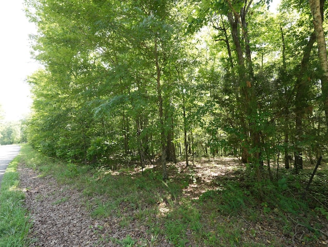 5 Tummins Rd, Mc Ewen, TN 37101 - photo 32