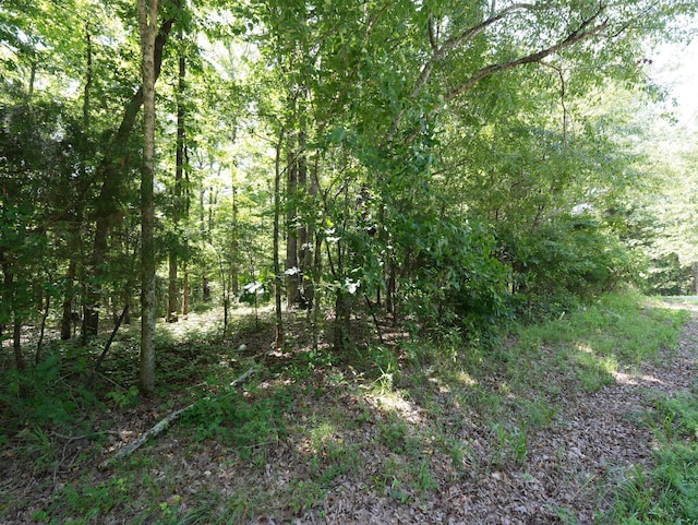 5 Tummins Rd, Mc Ewen, TN 37101 - photo 33