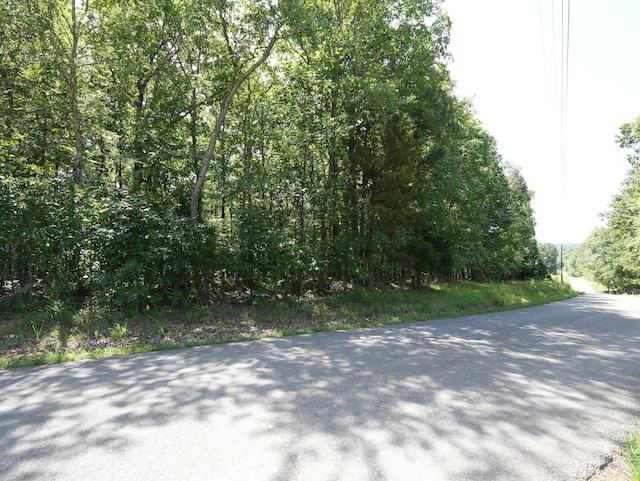 5 Tummins Rd, Mc Ewen, TN 37101 - photo 25