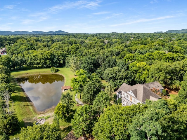 1115 Wilson Pike, Brentwood, TN 37027 - photo 35