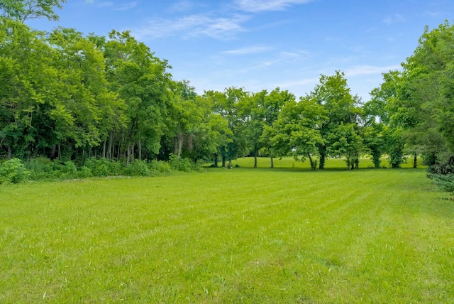 1115 Wilson Pike, Brentwood, TN 37027 - photo 37