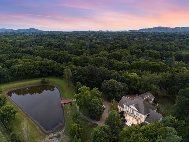 1115 Wilson Pike, Brentwood, TN 37027 - photo 1