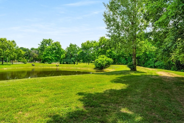 1115 Wilson Pike, Brentwood, TN 37027 - photo 36