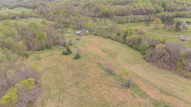90 Day Rd, Leoma, TN 38468 - photo 29