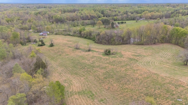 90 Day Rd, Leoma, TN 38468 - photo 31