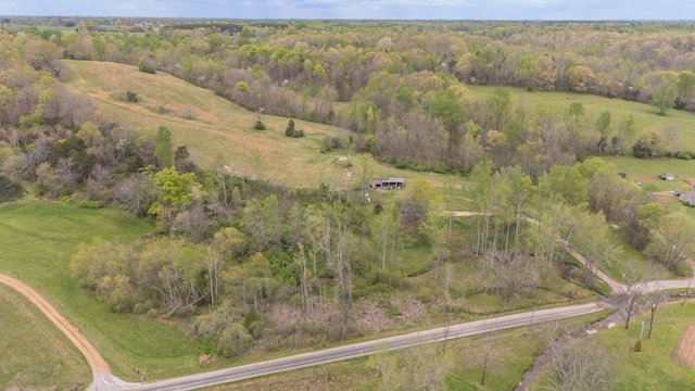90 Day Rd, Leoma, TN 38468 - photo 35