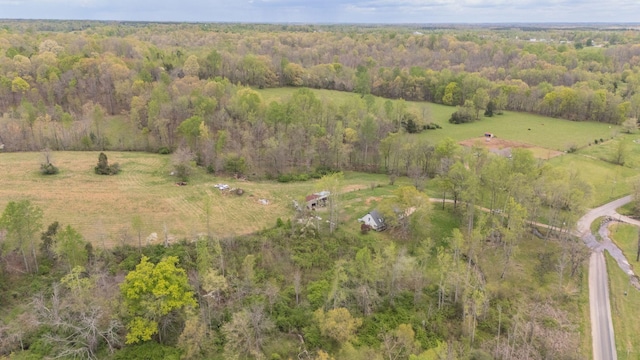 90 Day Rd, Leoma, TN 38468 - photo 36