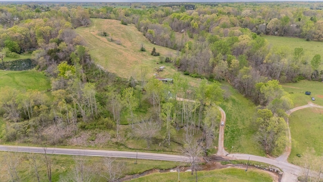 90 Day Rd, Leoma, TN 38468 - photo 33