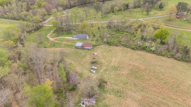 90 Day Rd, Leoma, TN 38468 - photo 32