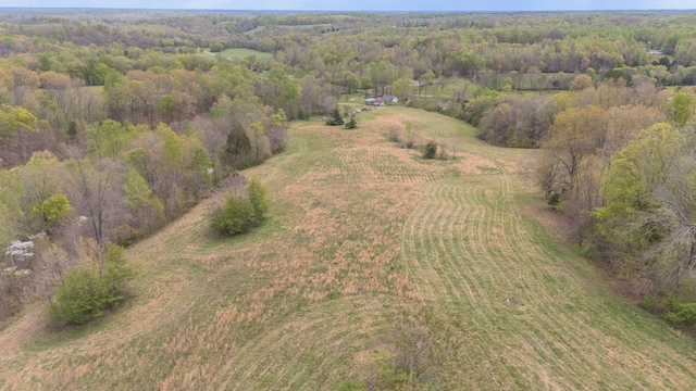 90 Day Rd, Leoma, TN 38468 - photo 30