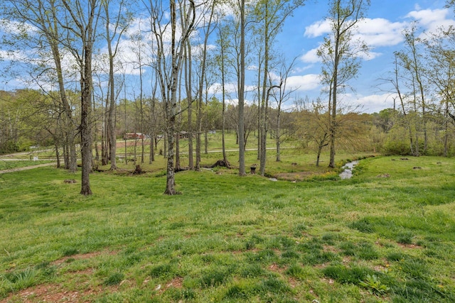 90 Day Rd, Leoma, TN 38468 - photo 28