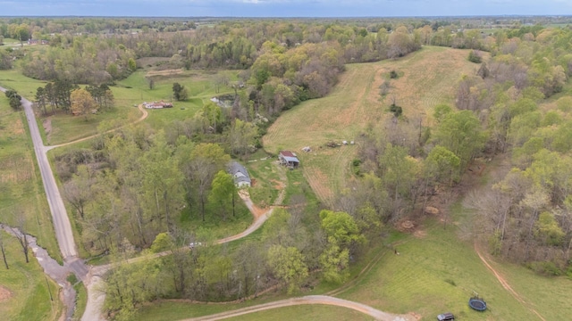 90 Day Rd, Leoma, TN 38468 - photo 34
