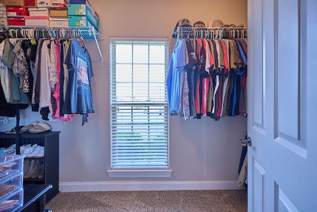 3419 Titus Ln, Murfreesboro, TN 37128 - photo 29