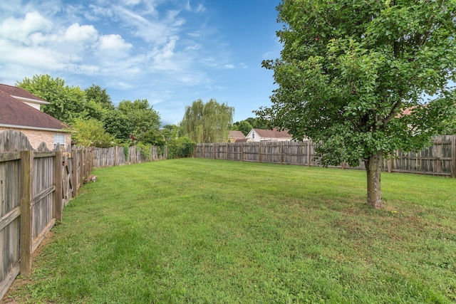 120 Danbury Ct, White House, TN 37188 - photo 36