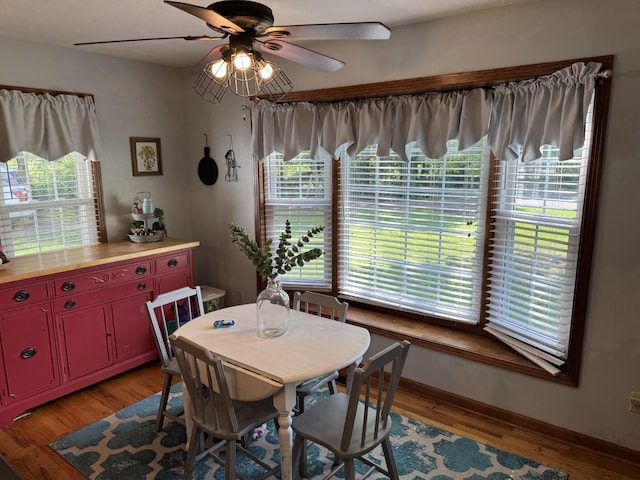 23 Elmwood Blvd, Carthage, TN 37030 - photo 16