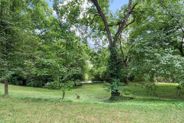 208 Stillcreek Dr, Franklin, TN 37064 - photo 33