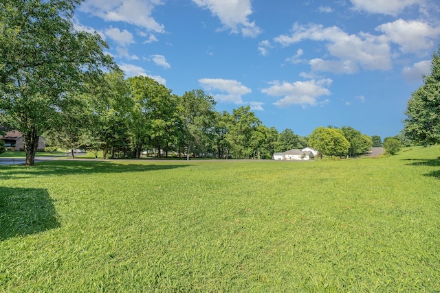 1208 Hartsfield Dr, Columbia, TN 38401 - photo 27
