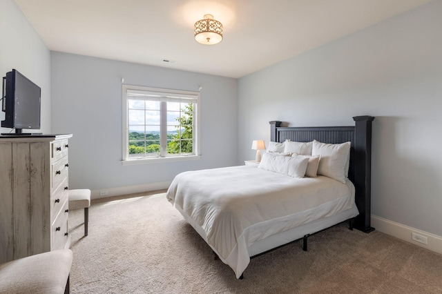 317 Holcombe Ln, Franklin, TN 37064 - photo 36