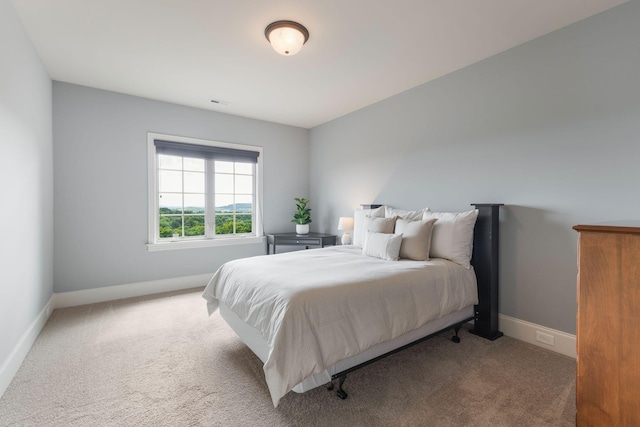 317 Holcombe Ln, Franklin, TN 37064 - photo 37
