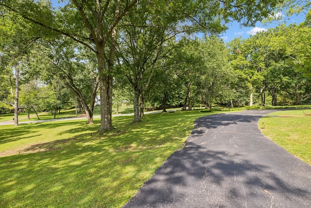 1204 Montpier Dr, Franklin, TN 37069 - photo 83