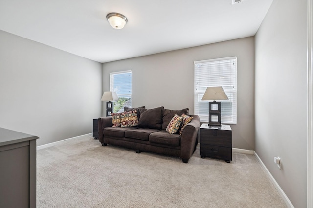 3244 Calendula Way, Murfreesboro, TN 37128 - photo 29