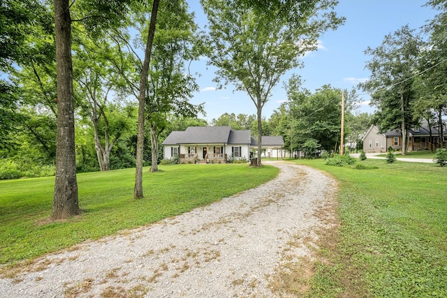 136 Beechwood Ave, Cornersville, TN 37047 - photo 6