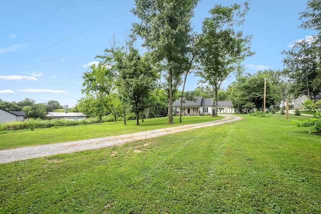136 Beechwood Ave, Cornersville, TN 37047 - photo 3