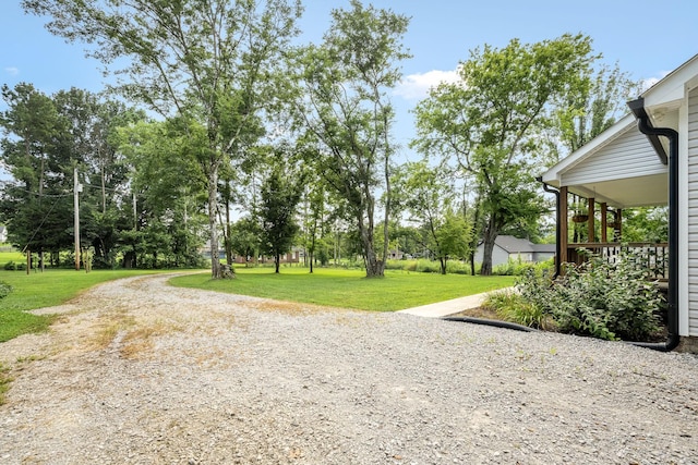 136 Beechwood Ave, Cornersville, TN 37047 - photo 11