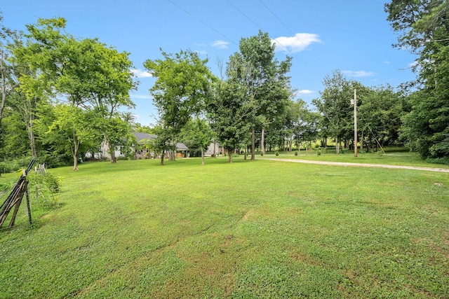 136 Beechwood Ave, Cornersville, TN 37047 - photo 5
