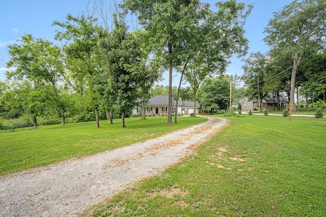 136 Beechwood Ave, Cornersville, TN 37047 - photo 4