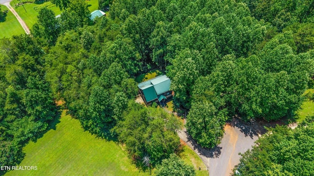 4264 Peachie Way, Cosby, TN 37722 - photo 39
