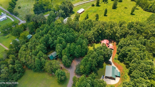 4264 Peachie Way, Cosby, TN 37722 - photo 40