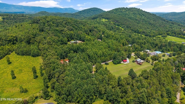 4264 Peachie Way, Cosby, TN 37722 - photo 42