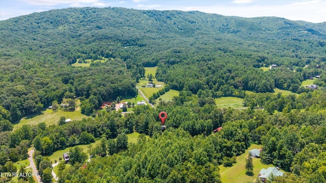 4264 Peachie Way, Cosby, TN 37722 - photo 41