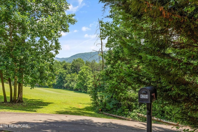 4264 Peachie Way, Cosby, TN 37722 - photo 5