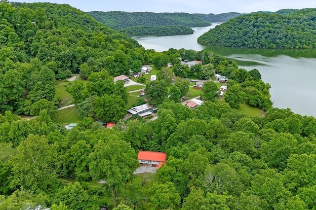 475 Lauren Ln, Baxter, TN 38544 - photo 33