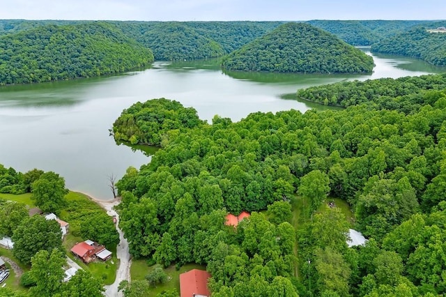 475 Lauren Ln, Baxter, TN 38544 - photo 34