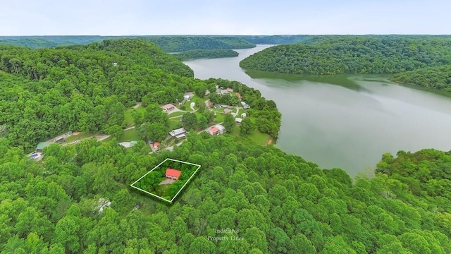 475 Lauren Ln, Baxter, TN 38544 - photo 32