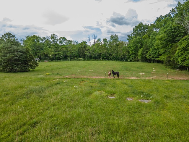 0 Franklin Pike, Lewisburg, TN 37091 - photo 20